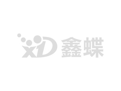 实施团队